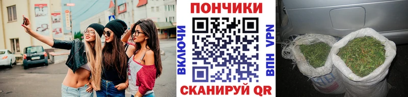 Все наркотики Яровое Псилоцибиновые грибы