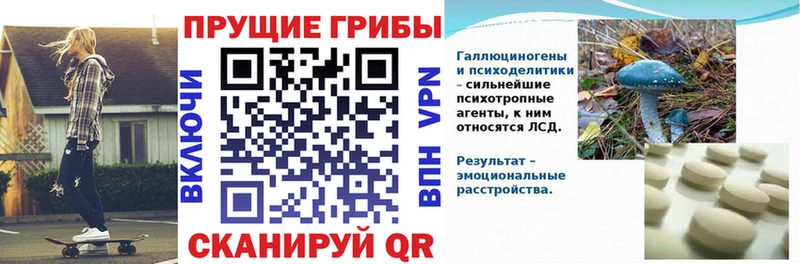 где купить наркотик  Яровое  Псилоцибиновые грибы мицелий 